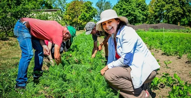 photo  vion, jeudi 10 juillet 2025. désherber des carottes, récolter des échalotes… quelques-uns des travaux de maraîchage accomplis par marie-pierre et les autres bénévoles au service des frères de saint-jean.  &copy;  le maine libre – yvon loué 