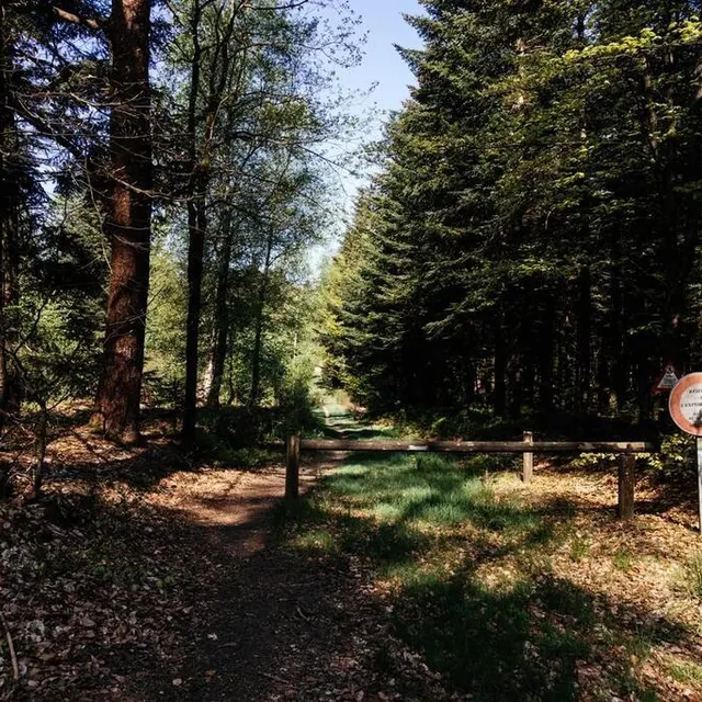 photo le sentier est particulièrement bien abrité du soleil.  ©  ouest-france