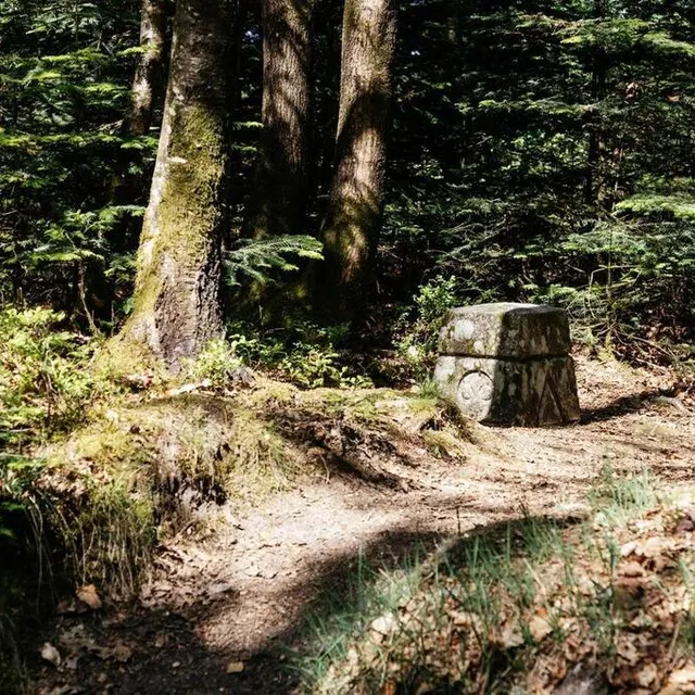 photo la stèle indique l’emplacement du signal d'écouves, le point culminant de la normandie.  ©  ouest-france