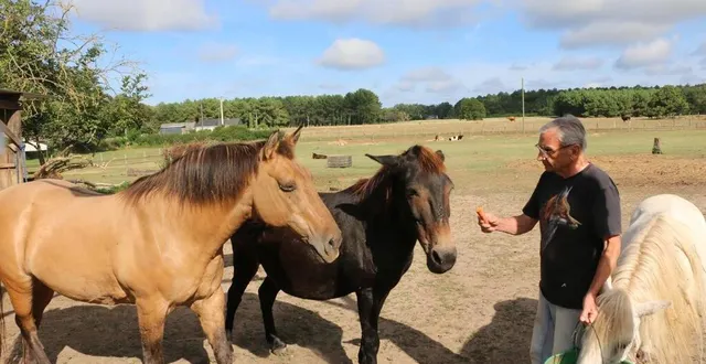 photo  joël mahé et sa femme monique ouvrent les portes de leur refuge animalier ce dimanche 20 juillet 2025.  &copy;  archives ouest-france 