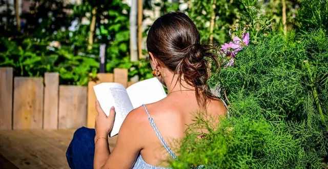 photo  six libraires du mans livrent leur coup de cœur pour passer un bel été 2025.  &copy;  le maine libre - yvon loue 