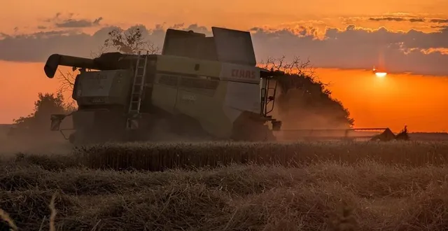 photo  en cet été 2025, es récoltes ont dix jours d’avance en sarthe et les fortes chaleurs obligent les agriculteurs à travailler le soir et la nuit.  &copy;  ouest-france 