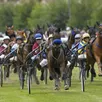 photo  sept courses de trot attelé vont se disputer sur l’hippodrome d’écommoy ce dimanche.? 