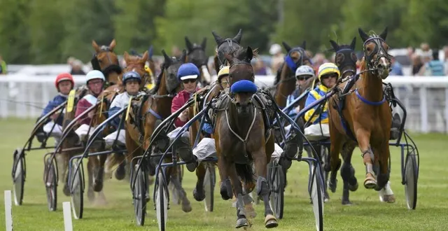 photo  sept courses de trot attelé vont se disputer sur l’hippodrome d’écommoy ce dimanche.?  &copy;  archives le maine libre – yvon loué 