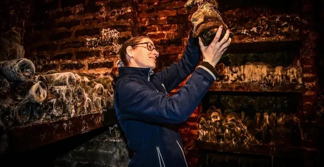 photo  au programme de la semaine, la visite du domaine de cézin à marçon. amandine fresneau proposera une visite viticole très bucolique.  &copy;  le maine libre - yvon loue 