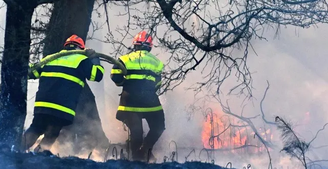 photo  une centaine d’hectares avaient été ravagés lors de l’incendie de la breille-les-pins, en avril 2025.  &copy;  archives jérôme fouquet/ouest-france 