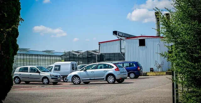 photo  le producteur de tomates avait été condamné le 7 juillet 2025 par le tribunal correctionnel du mans.  &copy;  archives le maine libre - yvon loué 