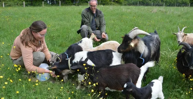 photo  la ferme d’apolline organise samedi 26 juillet 2025, sa première fête médiévale.  &copy;  ouest-france 
