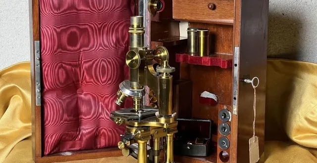 photo  parmi les très nombreux instruments scientifiques de ce moulin de curiosités, ce microscope a été adjugé 3 000 €.  &copy;  cyril duval enchères 