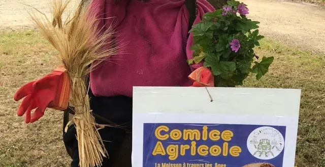 photo  un élément de décor du comice.  &copy;  le maine libre 