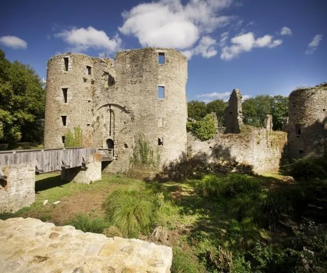 photo en ruine, le château témoigne de la puissance passée.  ©  ©la baule-guérande