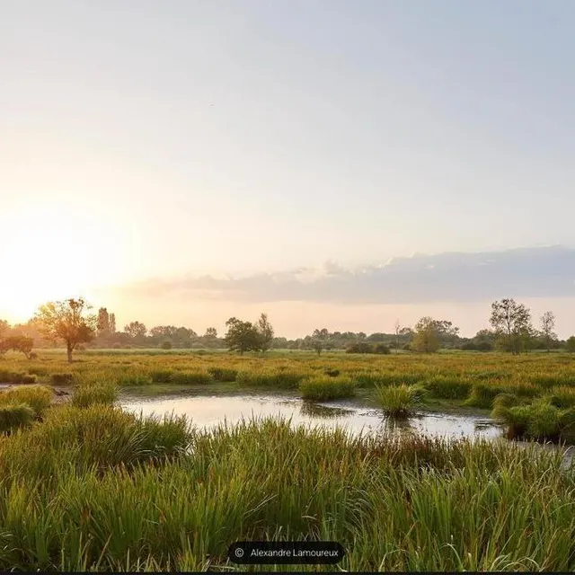 photo saint-joachim, une plongée au cœur du cœur de la brière.  ©  alexandre lamoureux