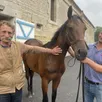 photo  dans la cour du haras du cadran à omméel, dans l’orne, pierre talvard et son fils emmanuel, avec l’un des yearlings qui sera présenté le mois prochain aux ventes de deauville (calvados). 