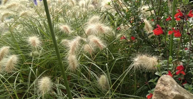 photo  une biodiversité riche au sein des alpes mancelles.  &copy;  le maine libre 