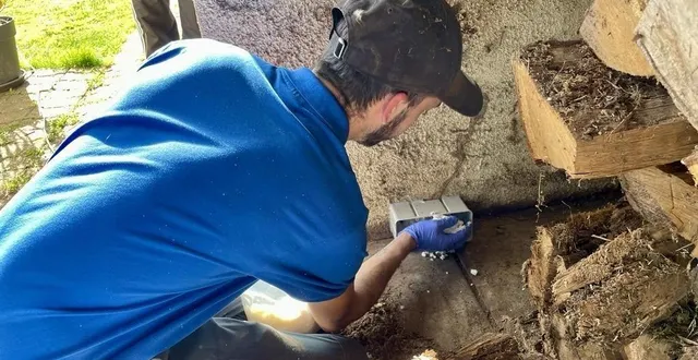 photo  pour lutter contre les termites, la pose de pièges peut être la solution.  &copy;  archives ouest-france 
