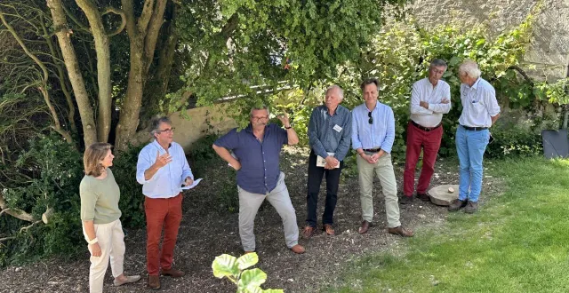 photo  côté jardin, le buis a plus une forme d’arbre.  &copy;  ouest-france 