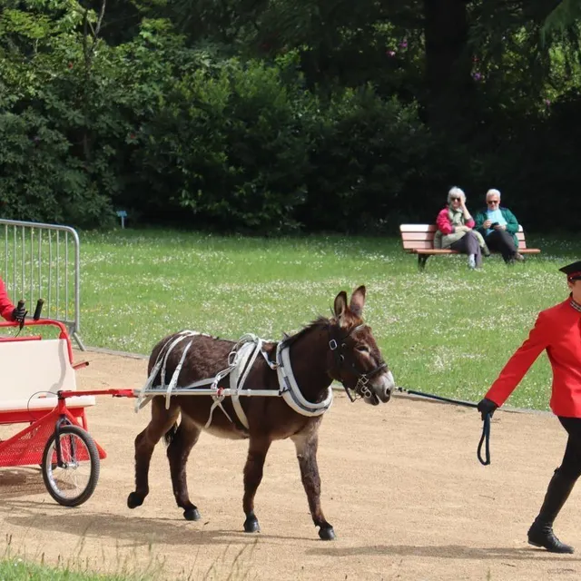 photo jeudi, à l’issue d’une conférence de presse autour de la 55 édition de l’équirando qui aura lieu en juillet à bagnoles-de-l’orne-normandie, une présentation d’un âne normand tirant une escargoline.  ©  ouest-france