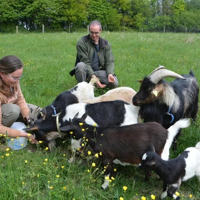 photo la ferme d’apolline organise samedi, sa première fête médiévale.  ©  ouest-france