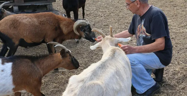 photo  joël mahé et sa femme monique ont commencé à recueillir des animaux dès leur installation à la baronnière.  &copy;  archives ouest-france 