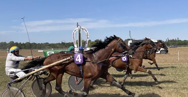 photo  neuf courses de trot sont au programme de ce dimanche 27 juillet 2025 à château-du-loir.  &copy;  archives le maine libre 