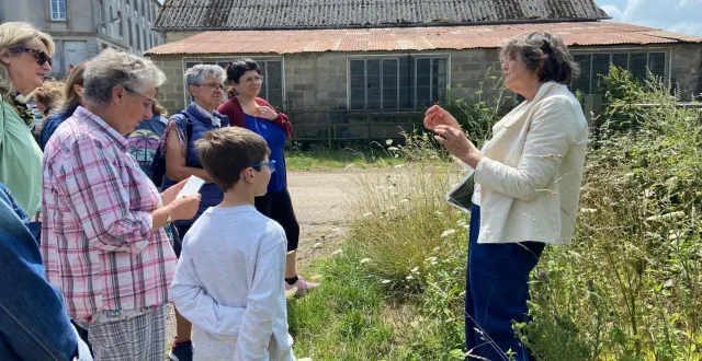 photo  anne vandenberghe fait découvrir les vertus des plantes mal aimées des jardiniers.  &copy;  ouest-france 