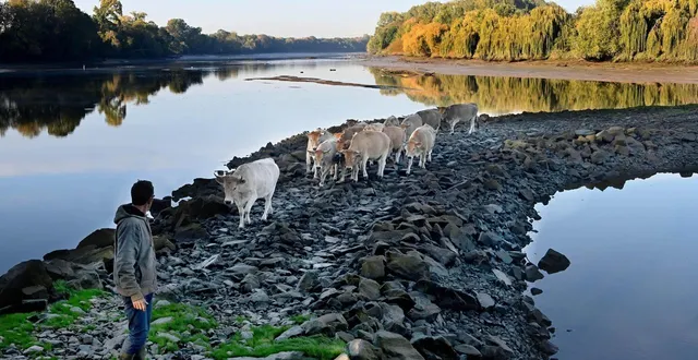 photo  jusqu’ici, pour accéder aux îles de loire lorsque les bras secondaires étaient en eau, les agriculteurs utilisaient les chevrettes, ces aménagements d’enrochements dont la plupart vont être arasés à l’avenir.  &copy;  archives jérôme fouquet/ouest-france 