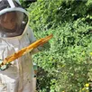photo  camille gentet lors de la récolte du miel dans les ruches des abeilles de loire. 