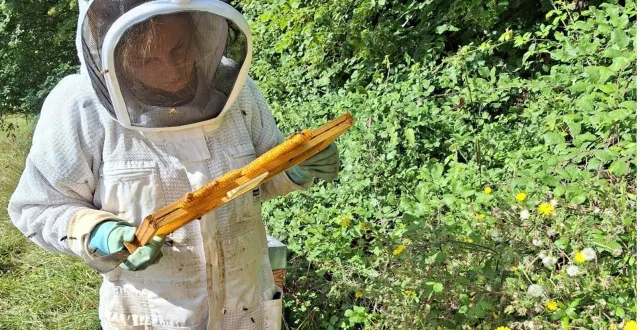photo  camille gentet lors de la récolte du miel dans les ruches des abeilles de loire.  &copy;  document remis 