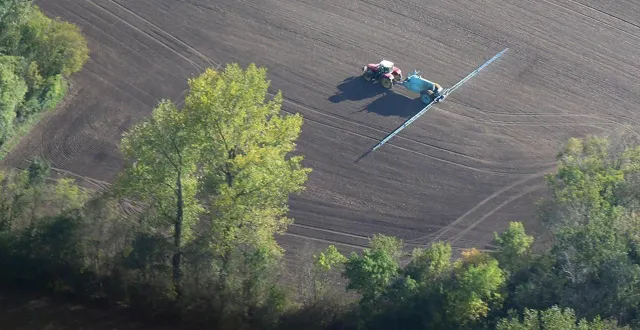 photo  la loi duplomb prévoit la possibilité de déroger à l’interdiction d’utiliser un insecticide de la famille des néonicotinoïdes, l’acétamipride, pour un usage précis.  &copy;  archives co - marie delage 