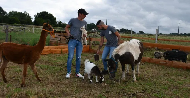 photo  brian et antoine donnent quelques friandises à leurs animaux.   &copy;  le maine libre 
