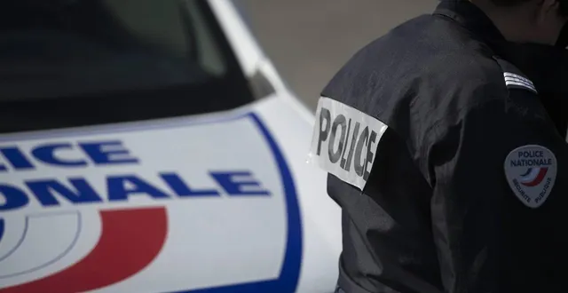 photo  les policiers sont intervenus au mans pour interpeller un homme qui venait d’asséner des coups de machette à un chien qui défendait sa petite amie.  &copy;  archives le courrier de l’ouest 