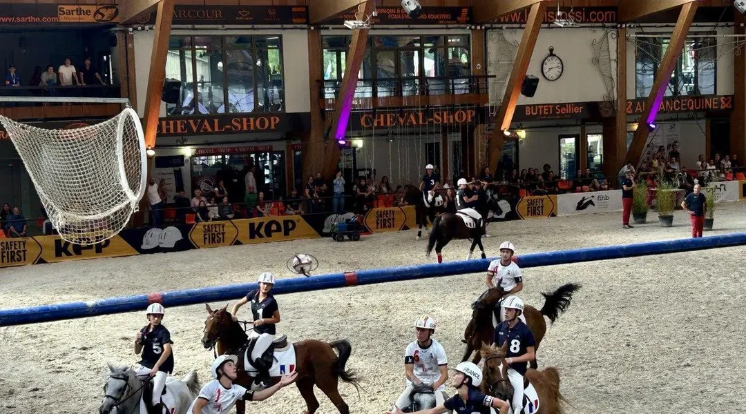 Horseball et dressage : Les poneys brillent lors des Championnats d'Europe près du Mans !