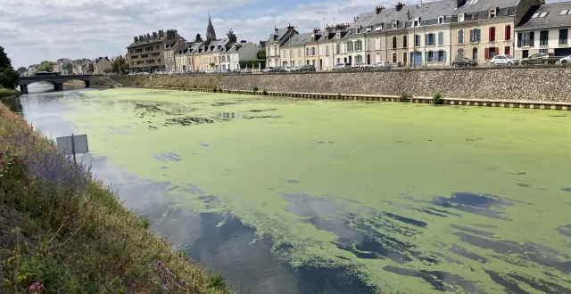photo  depuis quelques jours, une partie de la sarthe, au mans (sarthe), est recouverte d’une pellicule verte peu ragoûtante.  &copy;  ouest-france 