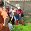 photo  un jardin de 1 200 m², sans pesticides, à la ferme de la ménagerie. 