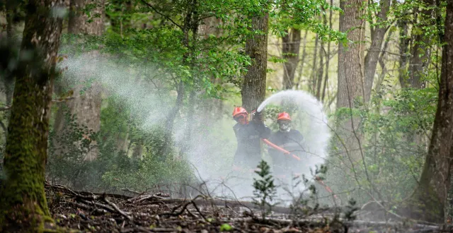 photo  lors d’une formation aux feux de forêt, en avril 2025, à la flèche (sarthe).  &copy;  sdis 72 