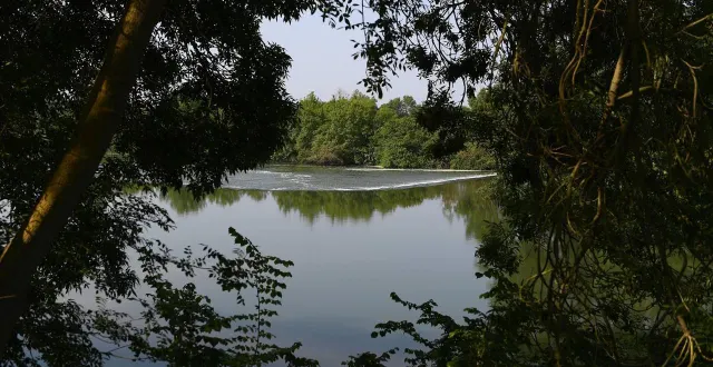 photo  comme ici à matheflon, village de seiches-sur-le-loir, la rivière est actuellement contaminée par la bactérie ralstonia solanacearum.  &copy;  archives co - josselin clair 