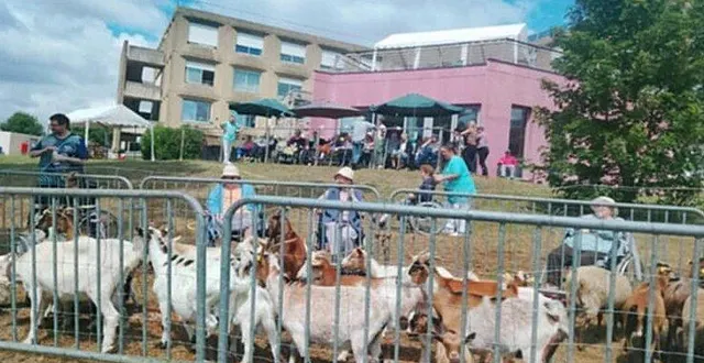 photo  sourires et souvenirs : les résidents redécouvrent le bonheur de la vie à la ferme lors de la mini-ferme organisée au jardin de l’ehpad.  &copy;  le maine libre 