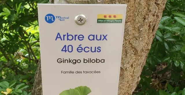 photo  une cinquantaine de panneaux ont été plantés sur les arbres de la commune. cette démarche faite suite au recensement par les citoyens, mais aussi par la commission extra-municipale de l’environnement, des diverses variétés d’arbres. l’objectif, à terme, est de créer un circuit nature et patrimoine en aménageant un sentier de balade botanique, et en préservant l’architecture.  &copy;  ouest-france 