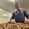 photo patrick jost produit des champignons à juigné depuis début 2023.