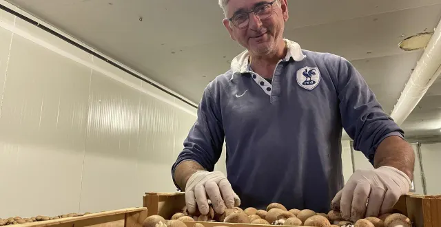 photo  patrick jost produit des champignons à juigné depuis début 2023.  &copy;  le maine libre 