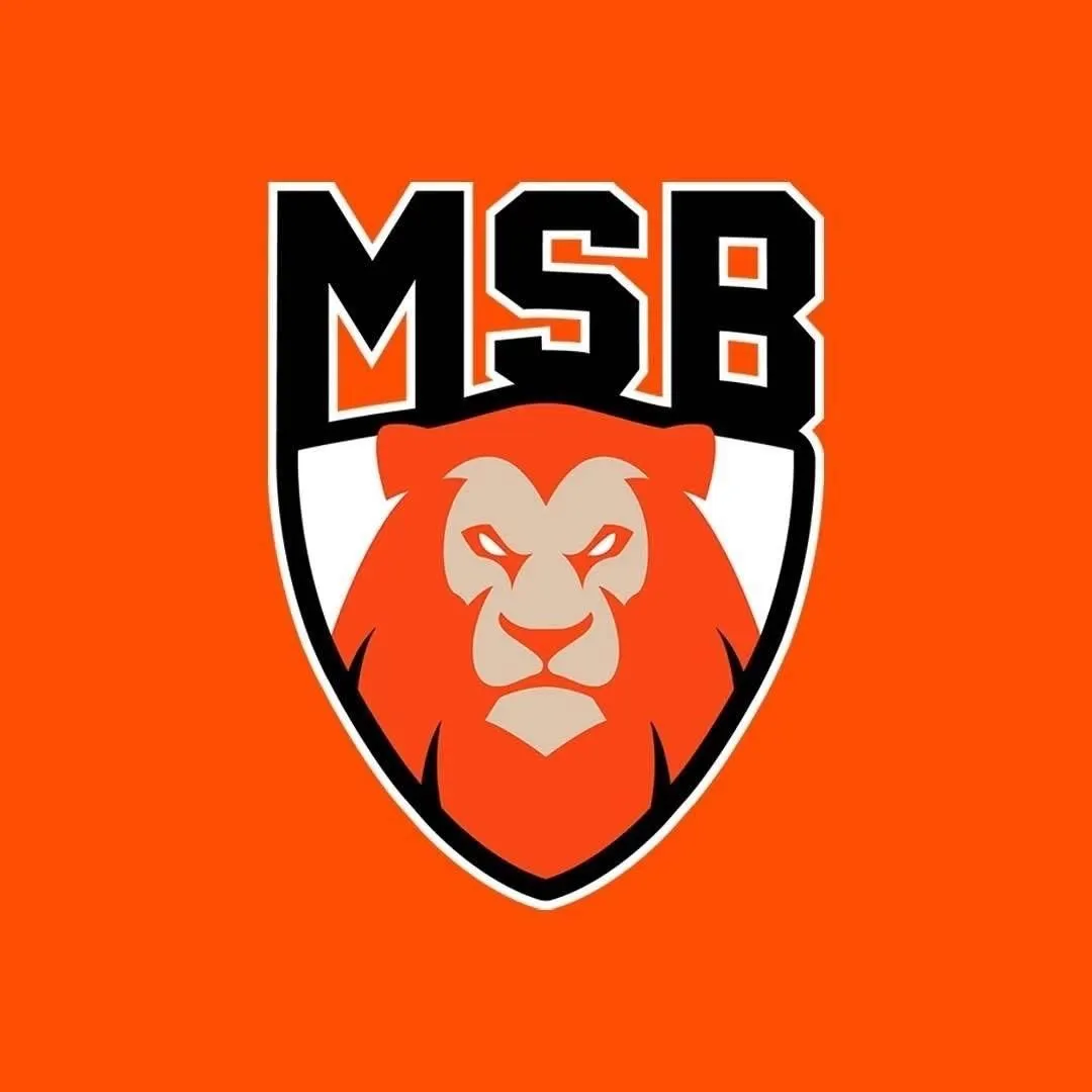 Basket. Le Mans Sarthe Basket dévoile son nouveau logo . Sport - Le ...