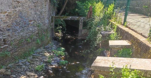 photo  le pan de l’erdre qui traverse candé est quasiment à sec.  &copy;  ouest-france 
