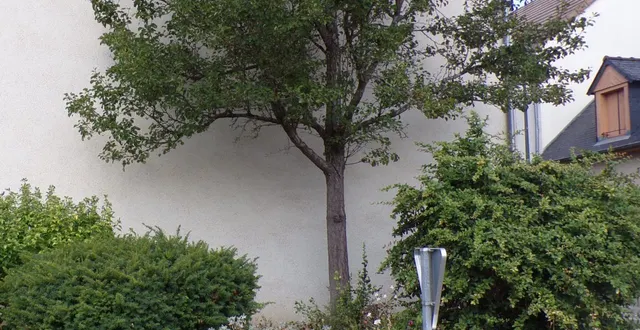 photo  deux statuettes en terre cuite étaient nichées dans la chapelle de la pointe.  &copy;  le maine libre 
