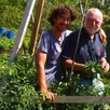 photo  un beau moment de partage : hubert dagron montre à paul, son petit-fils, ses plantations de tomate, protégées par la structure en bois qu’il a construite. 