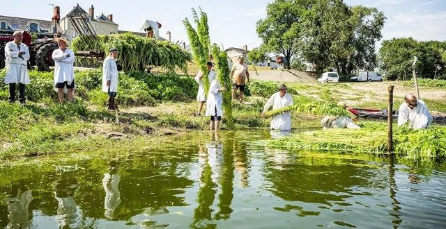 photo  né à l’initiative d’anciens producteurs de cette culture emblématique de la vallée de la loire, il y a près de trente ans, le festival de fibres en musique propose des démonstrations du travail du chanvre.  &copy;  olivier ortion 