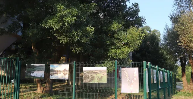 photo  les clichés primés.  &copy;  co 