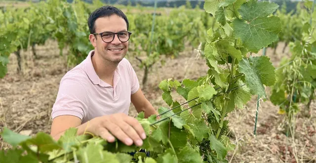 photo  alexandre cady réserve 11 de ses 30 hectares au coteaux du layon.  &copy;  camille archambault. 