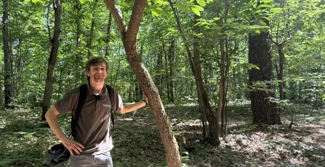 photo  clément le moine, gestionnaire des espaces naturels, au milieu des jeunes arbres et des vieux troncs qui forment l’équilibre vivant de la forêt.  &copy;  ouest-france 