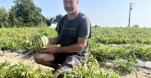 photo  frédéric et laura poupart, installés à longué-jumelles, produisent des pastèques depuis trois ans.  &copy;  co 