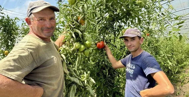 photo  patrick deniau et un de ses fils, étienne, travaillent à loire-authion.  &copy;  co – tiphaine sirieix 